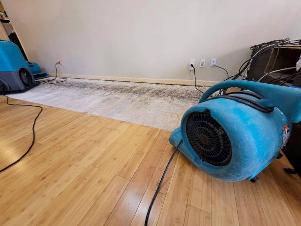 Professional Flood Damage Cleanup technician working in Hereford, AZ